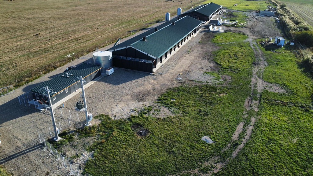 Hale tineret ansamblu